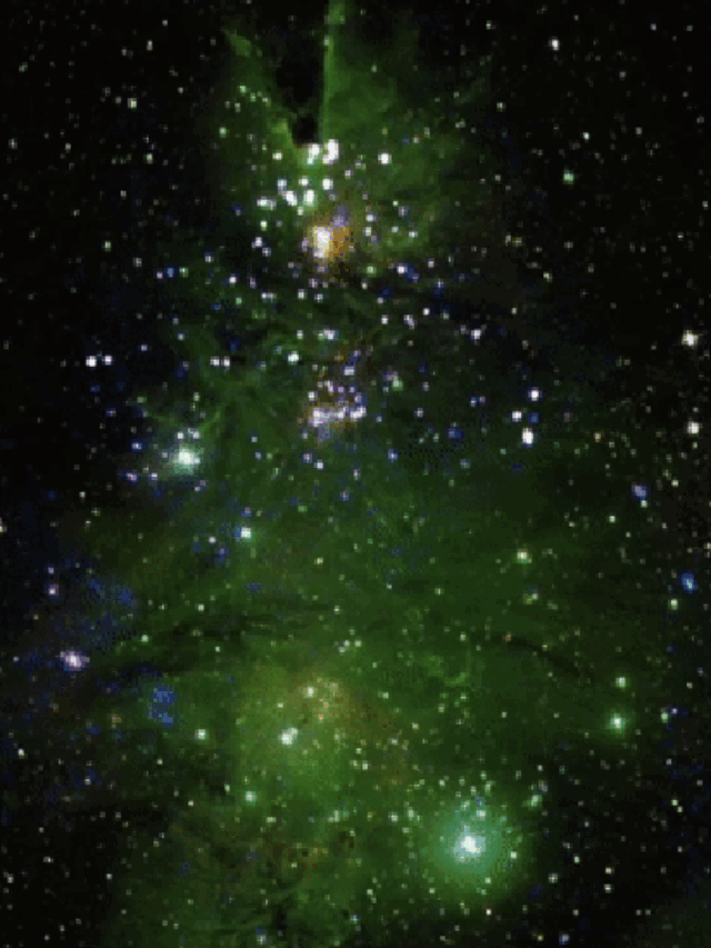 NASA’s Latest Capture View of the Christmas Tree Star Cluster